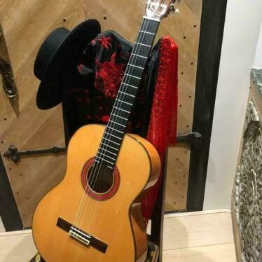 2022-453 flamenco guitare.JPG