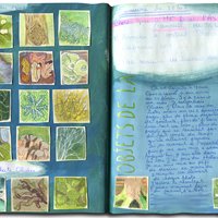 2025-257 Le journal d'artiste couleurs, matières et liberté 5