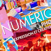 2025-308_Art_numerique._Photoshop_expression_tr.original_43c6c5t copie 2