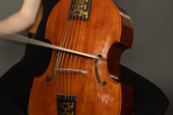 2026-018 Violo de gambe