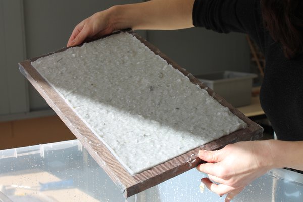 2026-206 la pâte eu papier 1