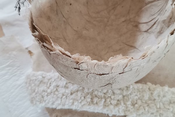 2026-206 la pâte eu papier 2