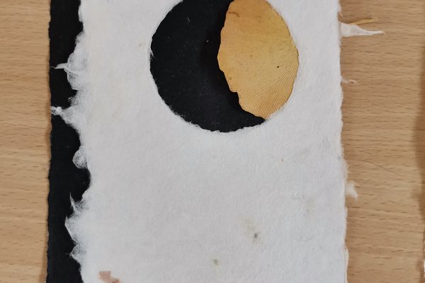 2026-206 la pâte eu papier 3