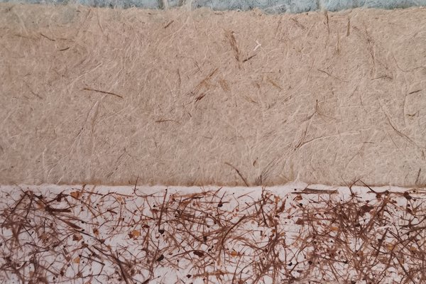 2026-206 la pâte eu papier 4