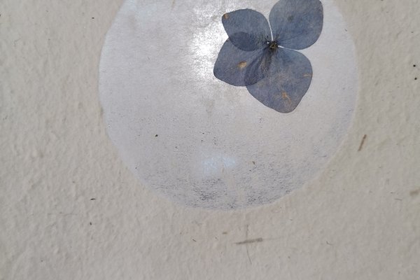 2026-206 la pâte eu papier 5