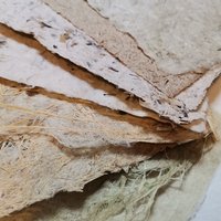 2026-206 la pâte eu papier 6