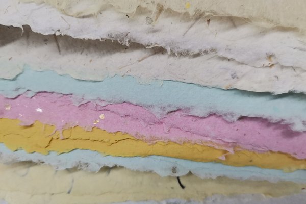 2026-206 la pâte eu papier 8