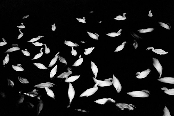 2026-311 habiter les images béata 2