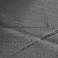 2026-311 le végétal imprimé 2