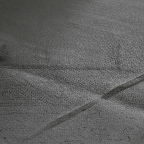 2026-311 le végétal imprimé 2