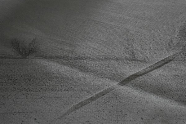 2026-311 le végétal imprimé 2