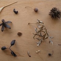 2026-315 Déambuler, glancer, recomposer, exposer 3