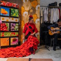flamenco 2022-455